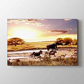 Vahşi Yaşam - Vahşi Yaşam Duvar Dekor Kanvas Tablo