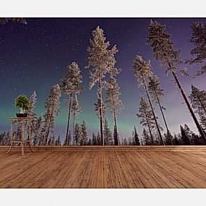 Gökyüzüne Değen Ağaçlar 3 Boyutlu Duvar Kağıdı