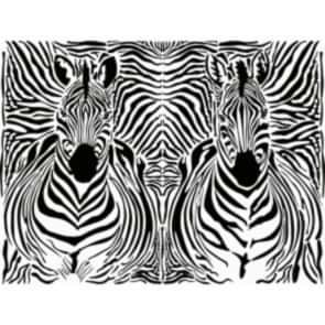 Zebra Çizgileri