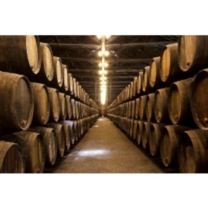 Şarap Mahzeni ve Fıçıları