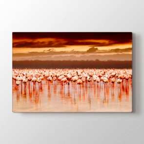 Pelikan Sürüsü - Vahşi Yaşam Duvar Dekoru Kanvas Tablo