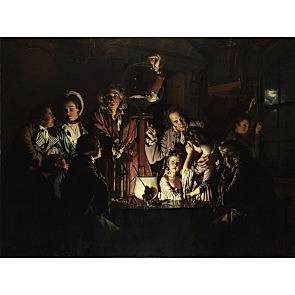 An Experiment On A Bird