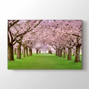 Ağaçlar Çiçek Açtı - Doğa Manzara Resimli Kanvas Tablo Modeli