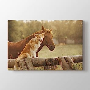 Arkadaş - Vahşi Yaşam Duvar Dekoru Kanvas Tablo