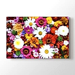 Çeşit Çeşit Çiçekler Tablosu | Doğa Tabloları