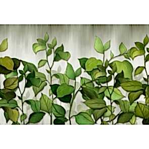 Salon İçin Bitkiler