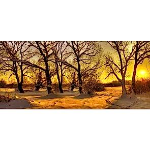 Kar ve Güneş'in Uyumu