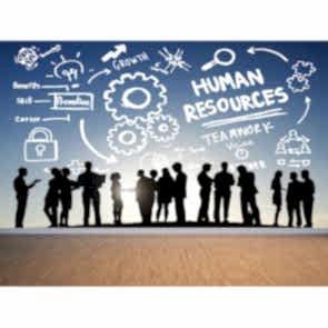 İnsan Kaynakları 3 Boyutlu Duvar Kağıdı