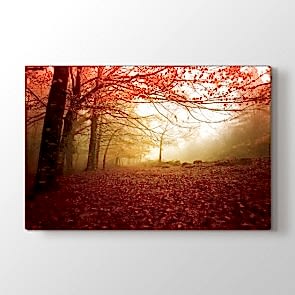 Sonbahar Kırmızısı - Doğa Manzara Duvar Tablosu