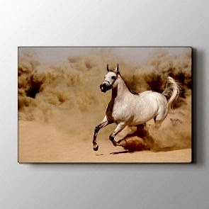 Dört Nala Koşmak - Vahşi Yaşam Kanvas Tablosu