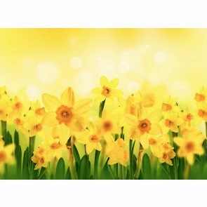 Güneş ve Çiçekler