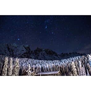 Gökyüzünde Ağaçlar