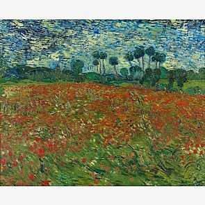 Van Gogh - Poppy Field
