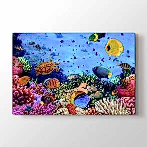 Akvaryum - Vahşi Yaşam Resimli Tablo Modeli