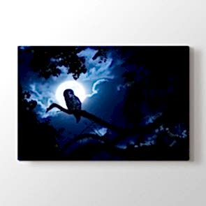 Gece Baykuşu - Doğa Manzara Resimli Tablo Modeli