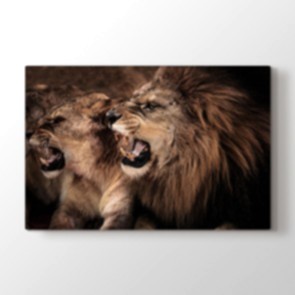 Kükre Aslanım - Vahşi Yaşam Kanvas Tablosu