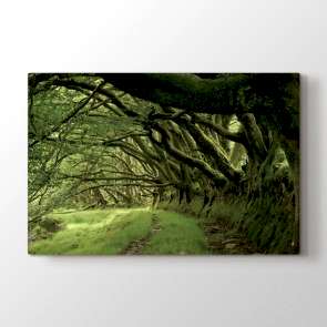 Ağaçların Arasından - Doğa Manzara Duvar Dekor Kanvas Tablo
