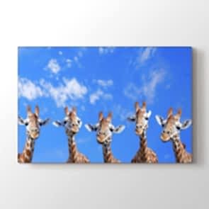 Şaşkın Bakış - Vahşi Yaşam Kanvas Tablosu