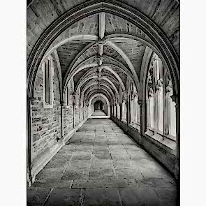 Siyah Beyaz Saray Yolu