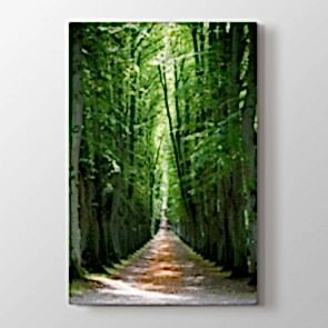 Gizli Orman Yolu Tablosu | Genç Odası Tabloları