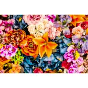 Capcanlı Çiçekler