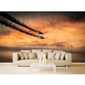 Ucak Dansı 3 Boyutlu Duvar Kağıdı
