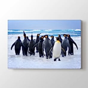 Penguenler - Vahşi Yaşam Duvar Tablosu Modeli
