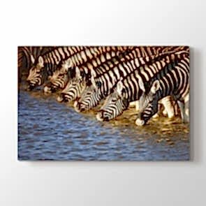 Su Molası - Vahşi Yaşam Duvar Tablosu