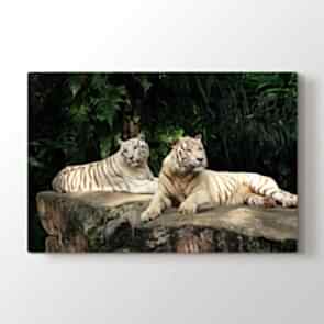 Afrikada Öğle Vakti - Vahşi Yaşam Dekoratif Duvar Tablosu