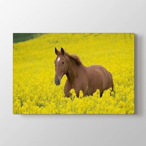 Özgürlük Koşusu - Vahşi Yaşam Resimli Kanvas Tablo Modeli