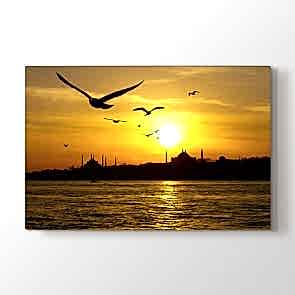 İstanbul Martıları - Şehir Resimli Tablo Modeli