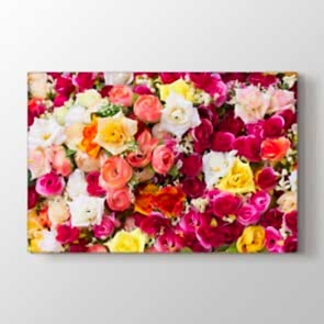 Her Renkten Güller Tablosu | Modern Çiçek Tabloları