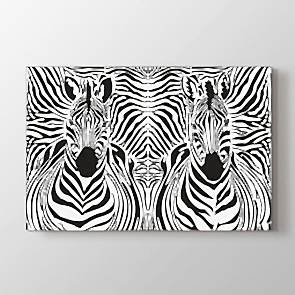 Zebra Çizgileri - Siyah Beyaz Resimli Tablo Modeli