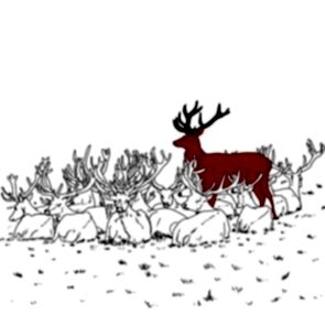 Sanatsal Dokunuşlar | Erin İlkcan Aslan'in How I feel different, Deers isimli Dijital Baskı çalışması