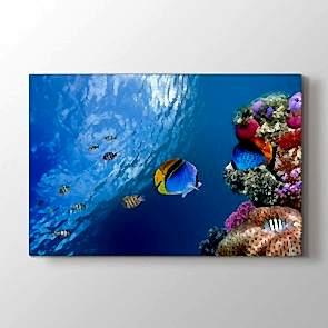 Balıkçıklar - Vahşi Yaşam Kanvas Tablosu