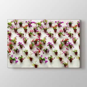 Duvarda Saksılar Tablosu | Kafe Tabloları