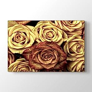 Sarı Güller Tablosu | Manzara Resimli Tablolar