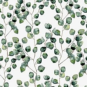 Okaliptus Yaprakları