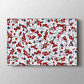 Kırmızı Çiçek Deseni Tablosu | Modern Çiçek Tabloları
