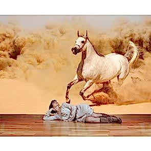 Dört Nala Koşmak - Duvar Dekoru