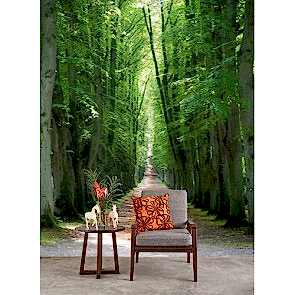 Gizli Orman Yolu 3 Boyutlu Duvar Kağıdı