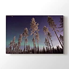 Yüksek Yüksek Ağaçlar Tablosu | Kız Kulesi Tablo