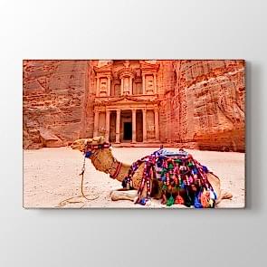 Süslü Deve - Vahşi Yaşam Duvar Tablosu