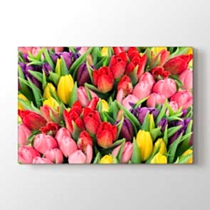 Lalelerin Güzelliği Tablosu | Manzara Tabloları