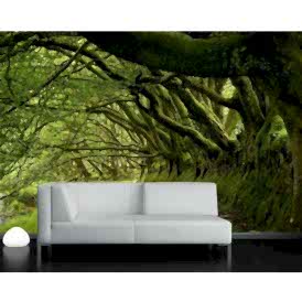 Ağaçların Arasından