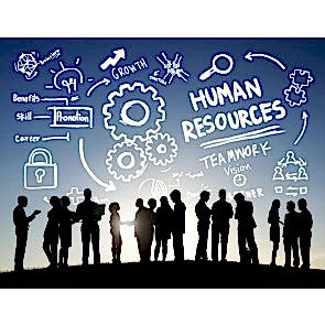 İnsan Kaynakları