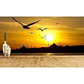 İstanbul Martıları - Duvar Sticker ve Duvar Resimleri