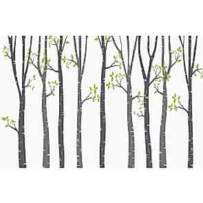 Ağaçların Dünyası