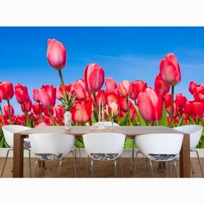 Pembe Duvar Kağıdı Önizleme