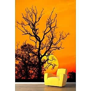 Turuncu Duvar Kağıdı Önizleme